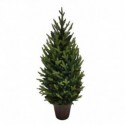 SAPIN DANS SON POT EN