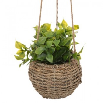 PLANTE DECORATIVE A SUSPENDRE