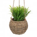 PLANTE DECORATIVE A SUSPENDRE