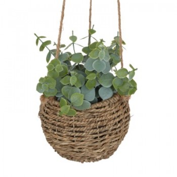 PLANTE DECORATIVE A SUSPENDRE