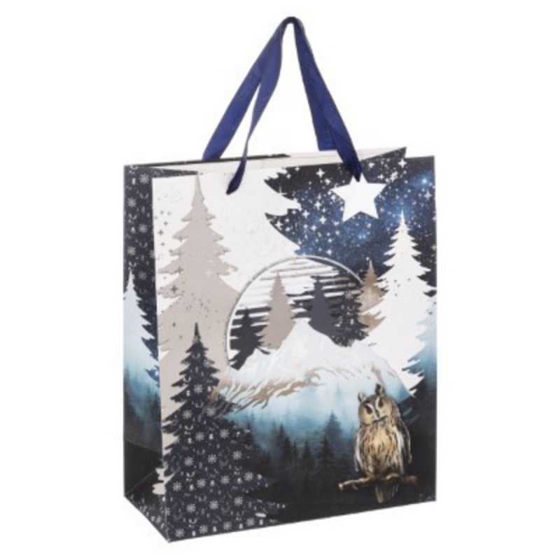 SAC CADEAU DE NOEL HIBOU DANS