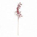 BRANCHE BAIES ROUGE 73CM