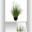 BUNCH HERBE POT PLAST H