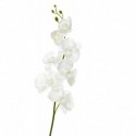 ORCHIDEE BLANC EN POLYESTER