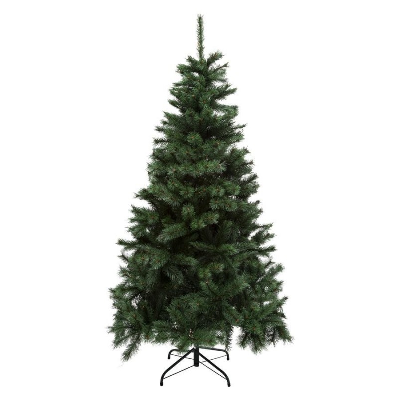 SAPIN WINDY PEAK 240CM L144CM