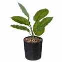 PLANTE ARTIFICIELLE 12X35CM