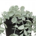 PLANTE EUCALYPTUS ARTIFICIEL