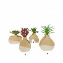 VASE EN BOIS AVEC PLANTE