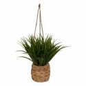 PLANTE A SUSPENDRE H.27CM