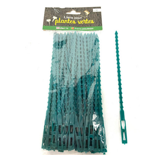 LIENS POUR PLANTES VERTES︱Lory