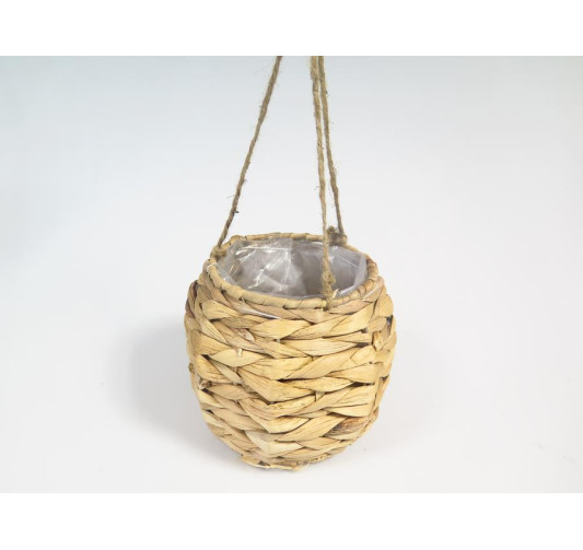 POT EN JACYNTHE D EAU D.16CM︱Lory