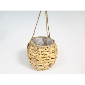 POT EN JACYNTHE D EAU D.16CM︱Lory