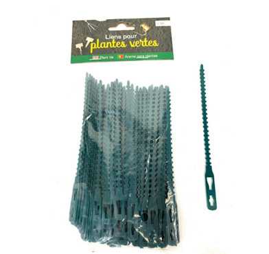 LIENS POUR PLANTES VERTES︱Lory