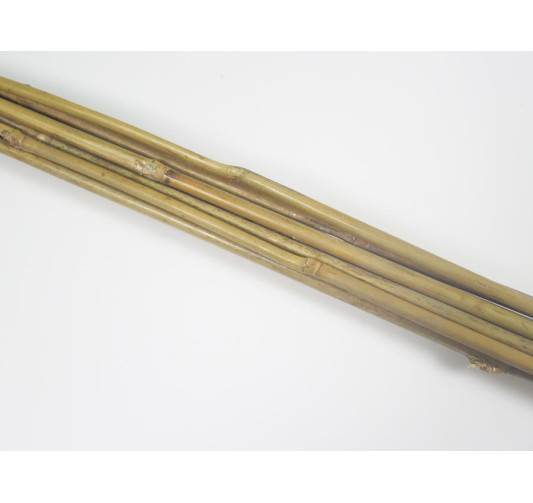 TUTEUR EN BAMBOU X 10 PIECES︱Lory