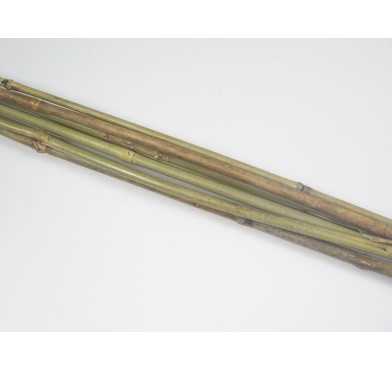 TUTEUR EN BAMBOU X 8 PIECES︱Lory