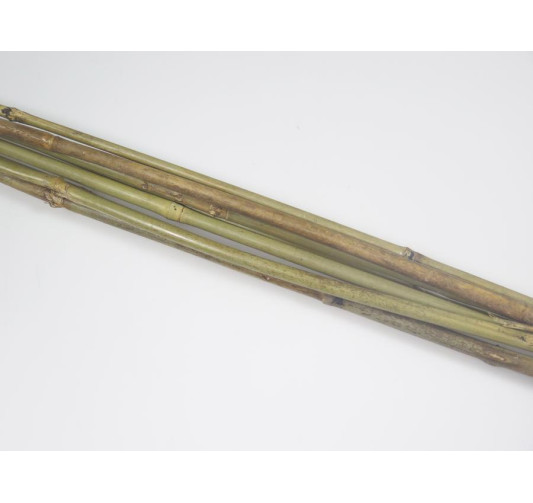 TUTEUR EN BAMBOU X 8 PIECES︱Lory