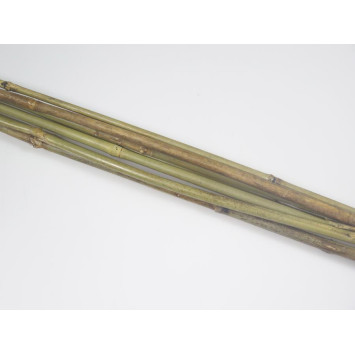 TUTEUR EN BAMBOU X 8 PIECES︱Lory