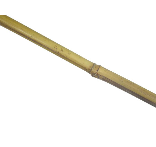 TUTEUR EN BAMBOU HAUTEUR 2M︱Lory