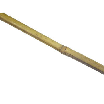 TUTEUR EN BAMBOU HAUTEUR 2M︱Lory