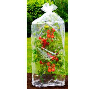 VOILES DE PROTECTION X3PIECES︱Lory