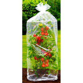 VOILES DE PROTECTION X3PIECES︱Lory