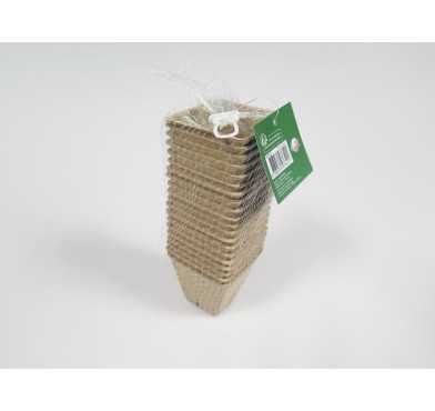 FILET DE 20 POTS DE SEMI︱Lory