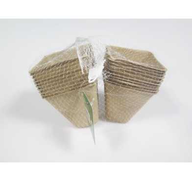 FILET DE 20 POTS DE SEMI︱Lory