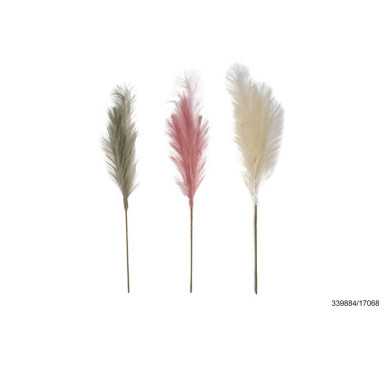 TIGE DE PAMPA HAUTEUR 78CM︱Lory