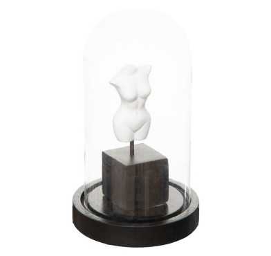 CORPS SOUS CLOCHE EN VERRE︱Lory