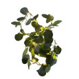 GUIRLANDE LUMINEUSE EUCALYPTUS