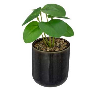 PLANTE ARTIFICIELLE DANS SON︱Lory