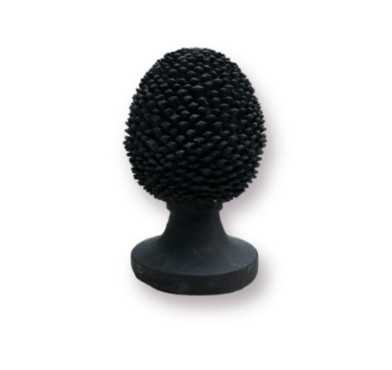 POMME DE PIN SUR PIED︱Lory