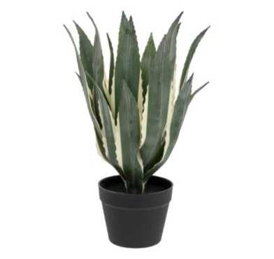 PLANTE ARTIFICIELLE AGAVE︱Lory