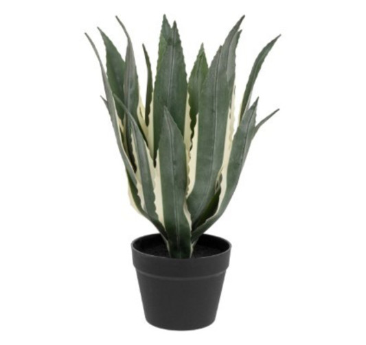 PLANTE ARTIFICIELLE AGAVE︱Lory