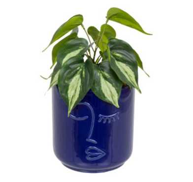 PLANTE ARTIFICIELLE H.30CM︱Lory