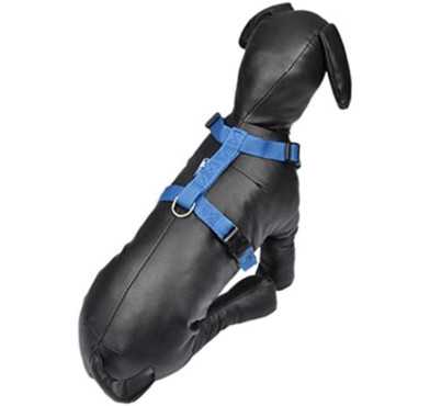 HARNAIS PP 50/70CM BLEU FONCE︱Lory