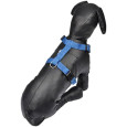 HARNAIS PP 50/70CM BLEU FONCE