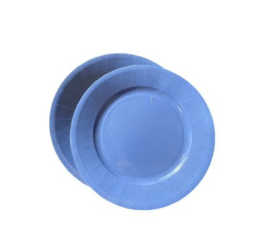 ASSIETTE EN CARTON X20PIECES︱Lory