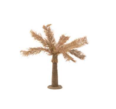 PALMIER ZOSTERE NATUREL︱Lory