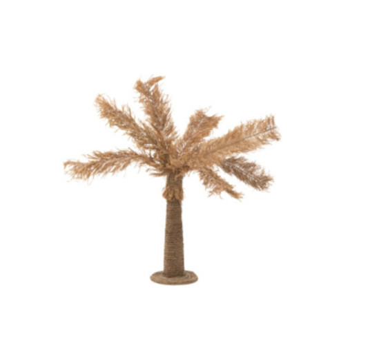 PALMIER ZOSTERE NATUREL︱Lory