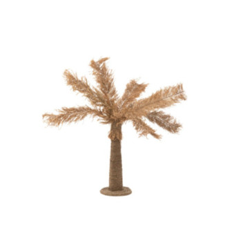 PALMIER ZOSTERE NATUREL︱Lory