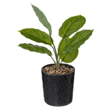 PLANTE ARTIFICIELLE 12X35CM︱Lory