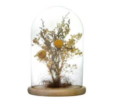 CLOCHE DECORATIVE ATMOSPHERA︱Lory