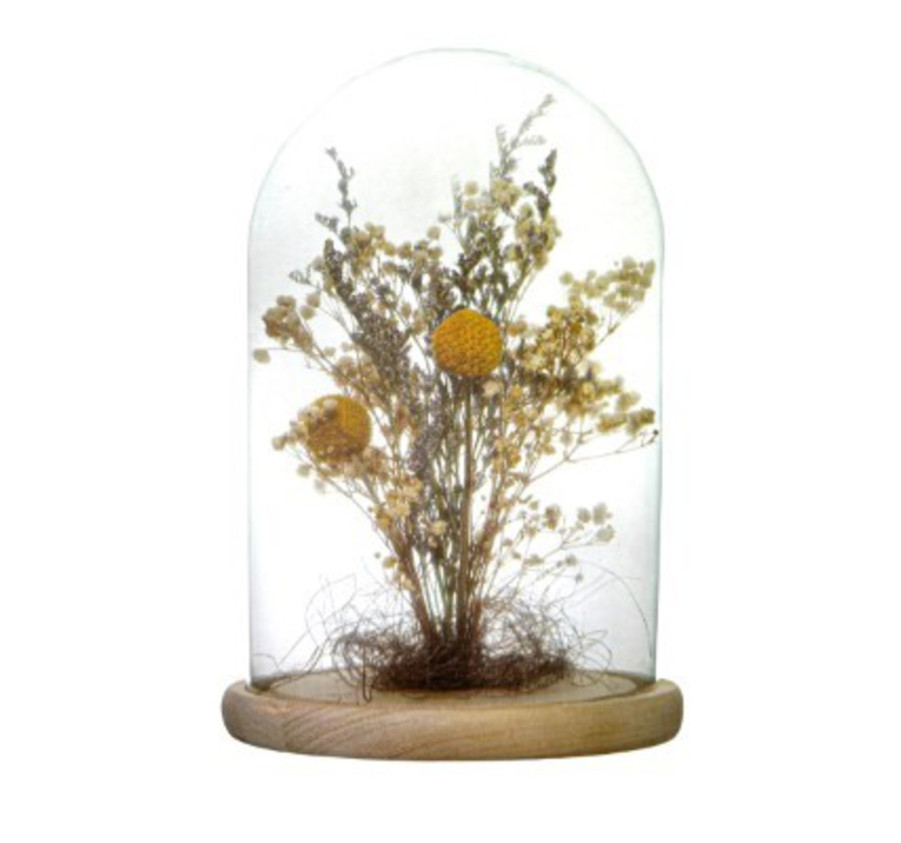 CLOCHE DECORATIVE ATMOSPHERA