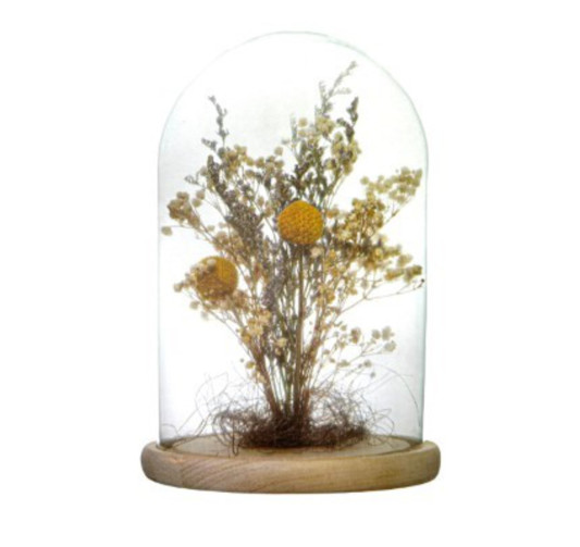 CLOCHE DECORATIVE ATMOSPHERA︱Lory