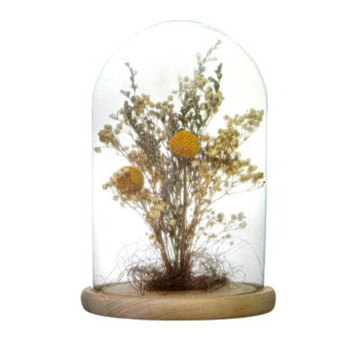 CLOCHE DECORATIVE ATMOSPHERA︱Lory