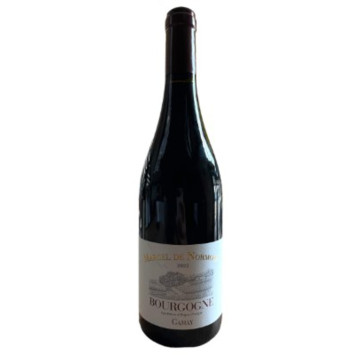 AOP BOURGOGNE GAMAY 2022︱Lory