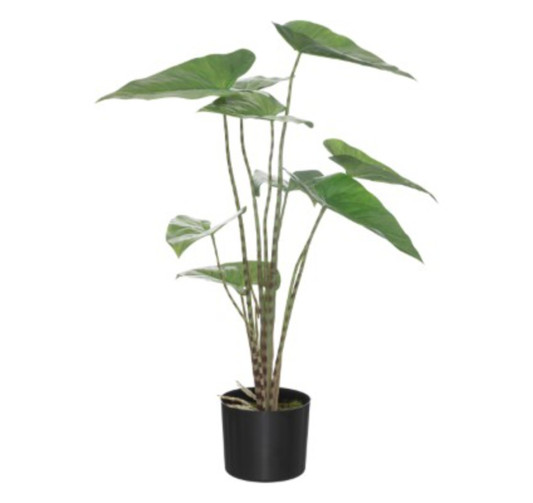 PLANTE ARTIFICIELLE ZEBRINA︱Lory