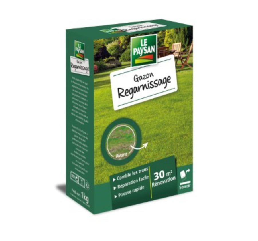 GAZON REGARNISSAGE 1KG
