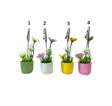 CLIP PHOTO FLEUR DANS SON POT︱Lory